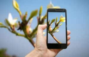 Explore a natureza com nosso app!