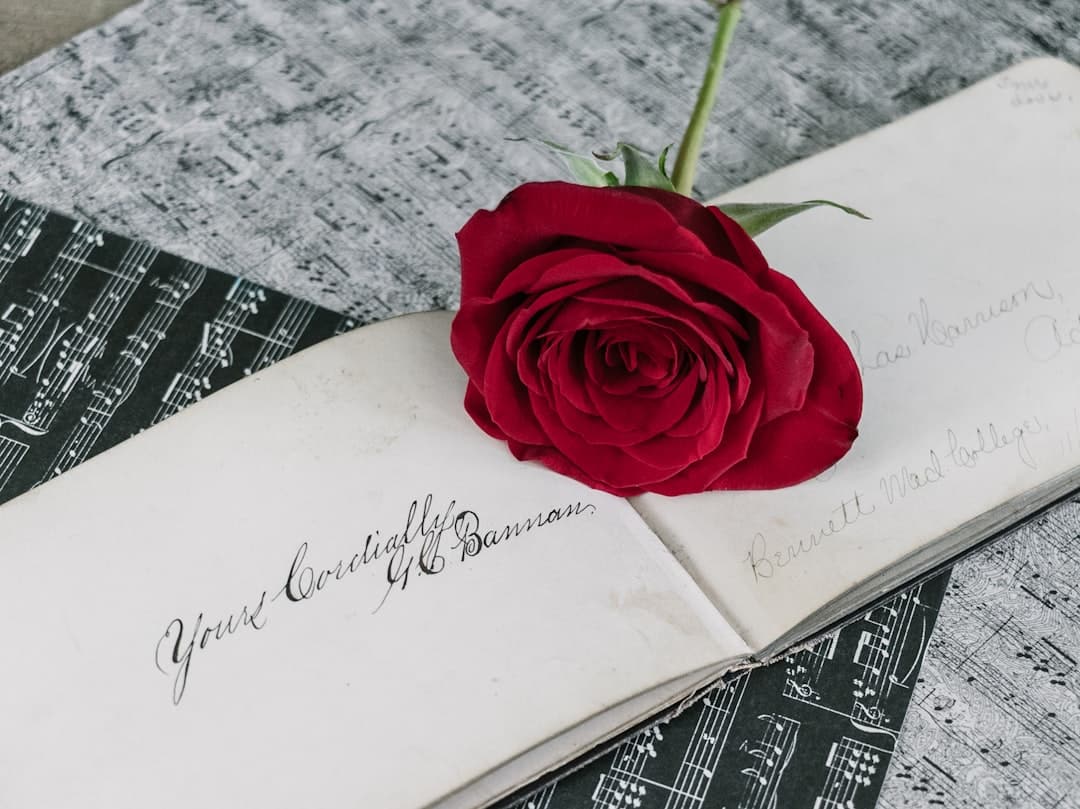 Palavras do Coração: Uma Carta de Amor Eterna